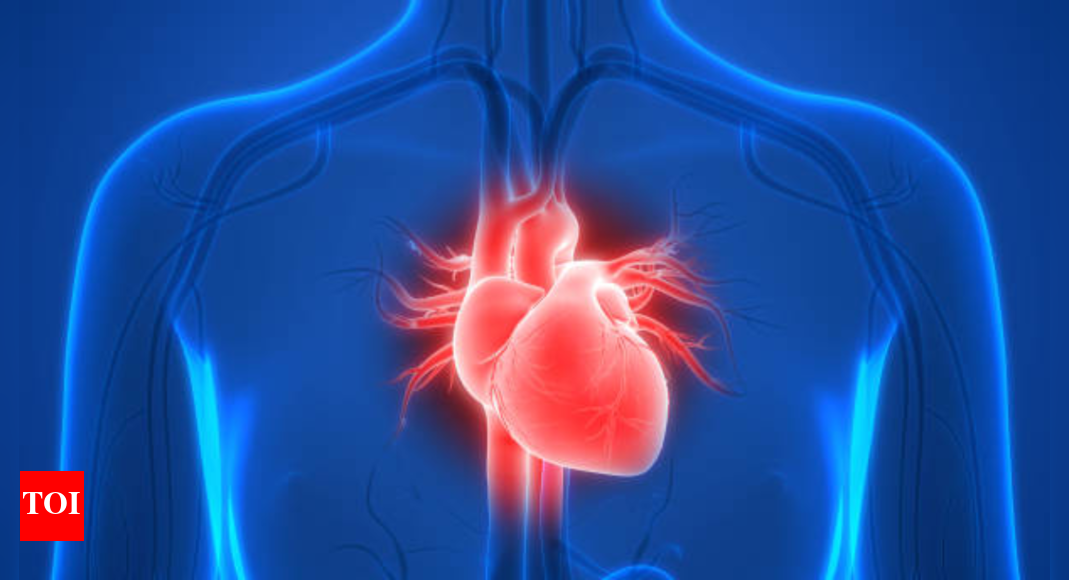 Heart health: Expert explains why plaques form in arteries and how to reverse the damage