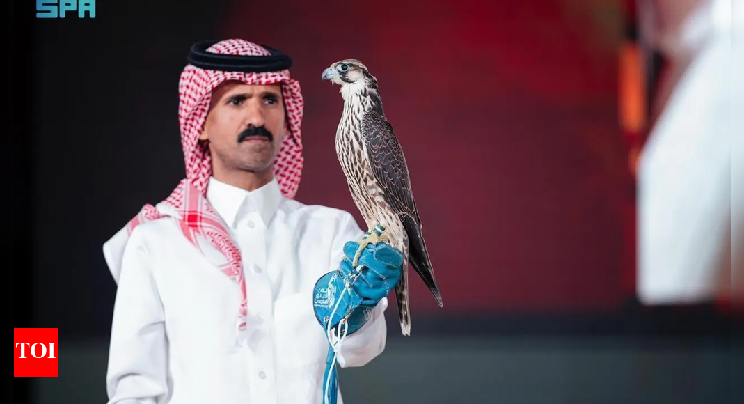 Record breaking sale: Young Falcon sells for $36,265 at Saudi Falcons Club Auction 2025