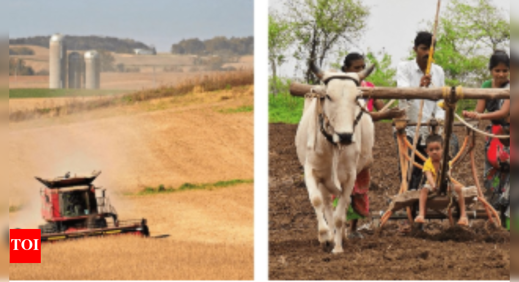 Heart of the deal: Managing soy-corn politics