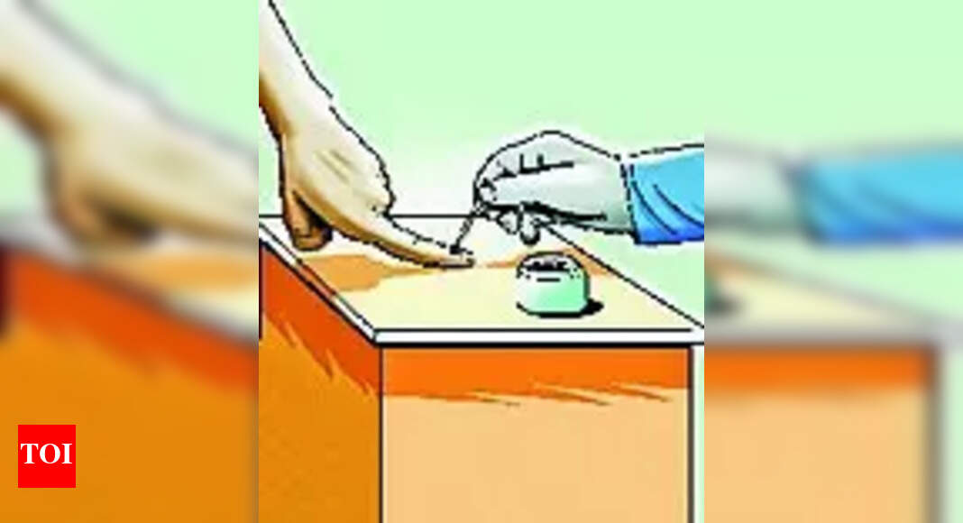 Young voters to shape poll outcome in Araria