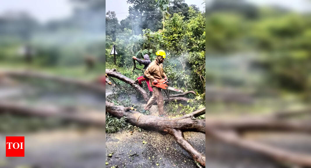 Gajapati district faces landslides and traffic disruptions amid cyclone Montha