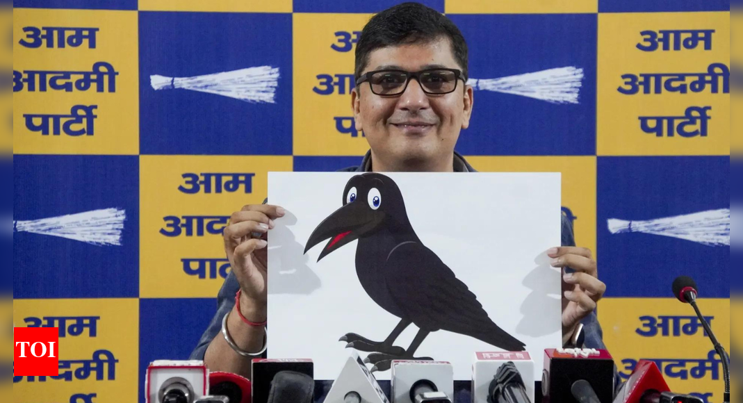 ‘Even Lord Indra isn’t with them’: AAP mocks BJP govt’s artificial rain drive in Delhi - video