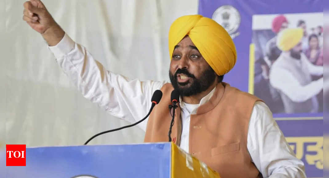 BJP blaming Punjab for air pollution in Delhi to defame state's farmers: CM Mann
