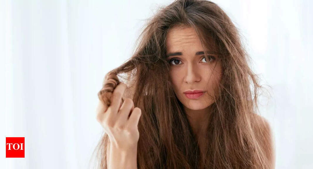 Best DIY remedies for extremely dry hair: 3 natural treatments that actually work
