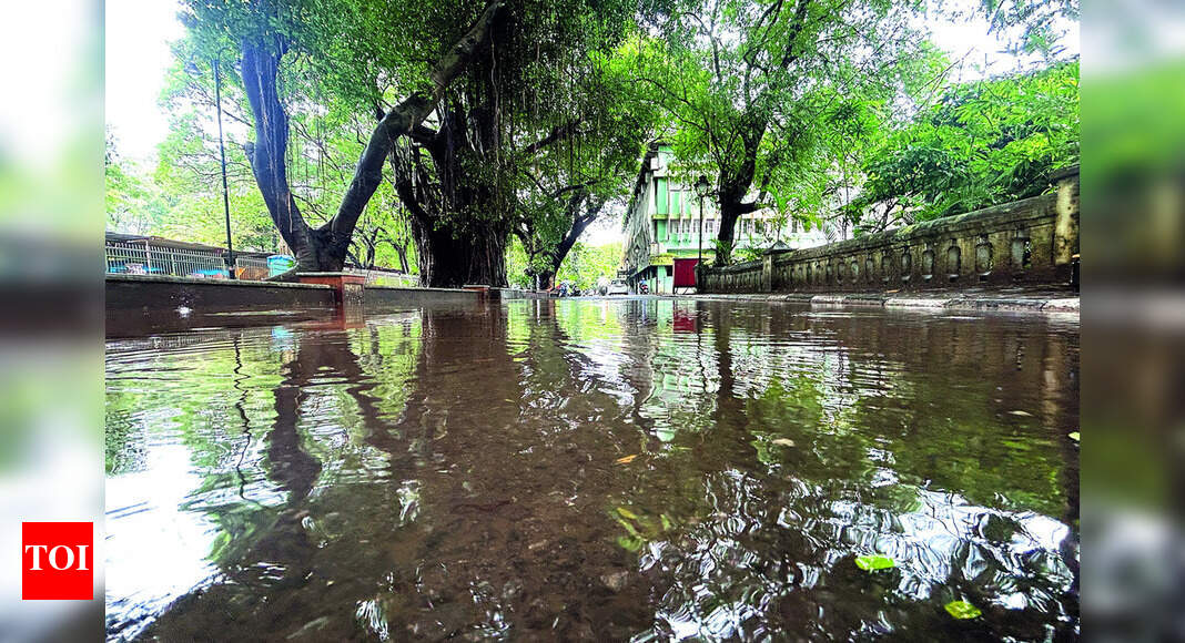 Goa records 91% excess rainfall for Oct so far, Panaji, Mormugao lead