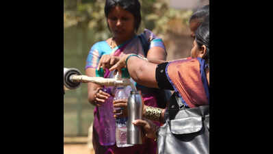 ZSI-IIT M study reveals microbial diversity, antibiotic resistance in urban drinking water