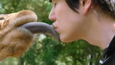 Kyuhyun's giraffe kiss 'New Journey to the West' spin-off titled 'Three Idiots in Kenya', gets ready for OTT debut