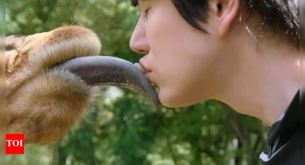 'New Journey to the West' spin-off titled 'Three Idiots in Kenya', gets ready for OTT debut