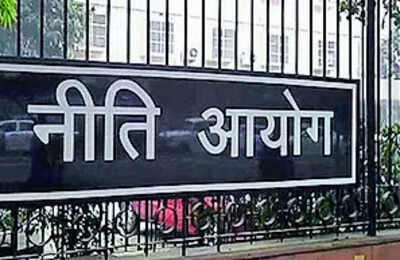 Services sector employed 188m in '23-24: Niti Aayog