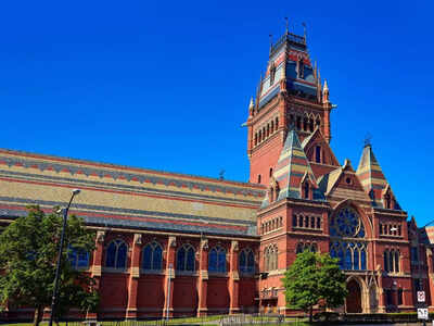 Harvard and its A story: Why professors are reluctant to give anything less than perfection