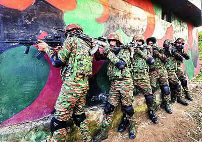 Representational image Soldier hurt during terrorist hunt to get war injury status: Punjab & Haryana HC