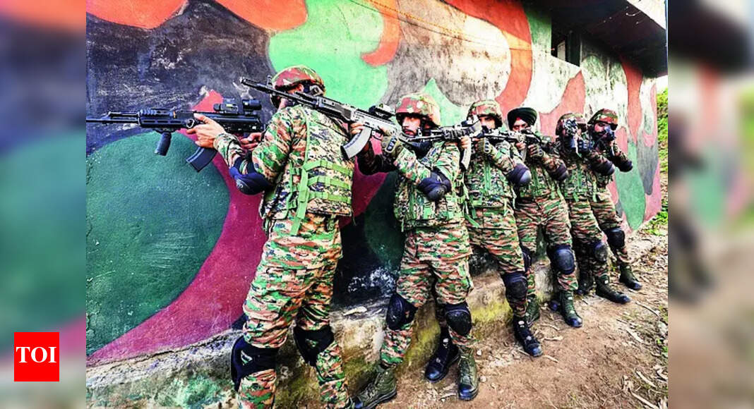 Soldier hurt during terrorist hunt to get war injury status: Punjab & Haryana HC