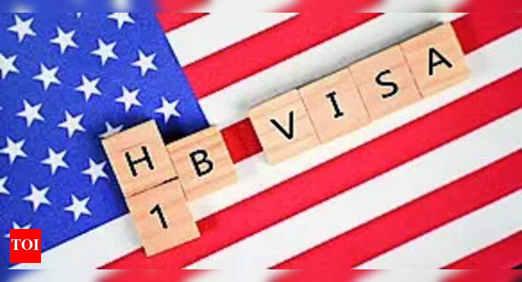 Trump's H1B visa reforms: Is it protecting US jobs or punishing innovation?
