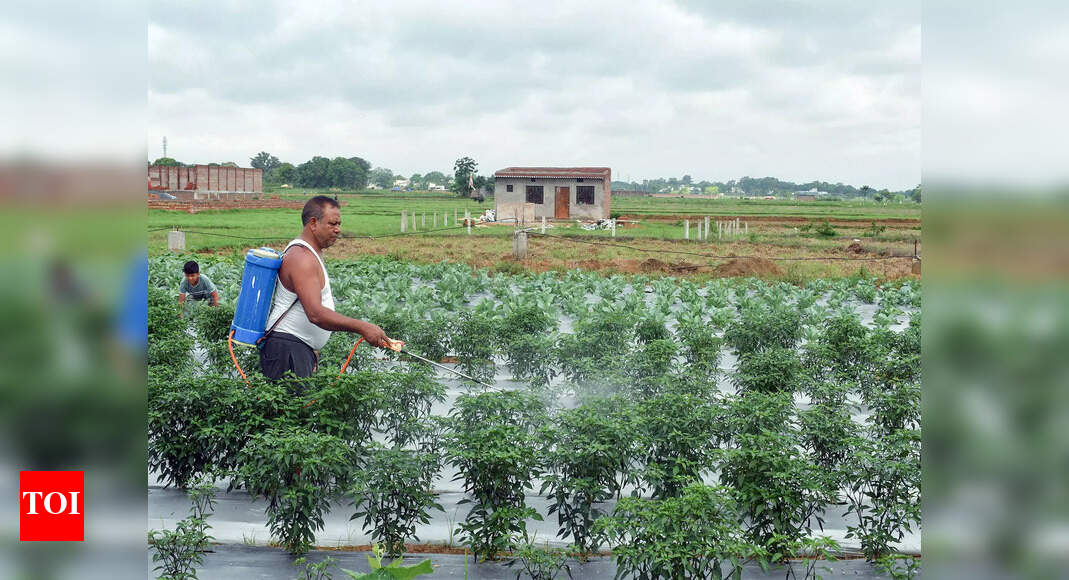 Centre hikes non-urea fertiliser subsidy to Rs 38k crore for this season