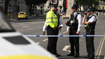Stabbing in London: Dog walker dead, father and son injured; Afghan asylum seeker held