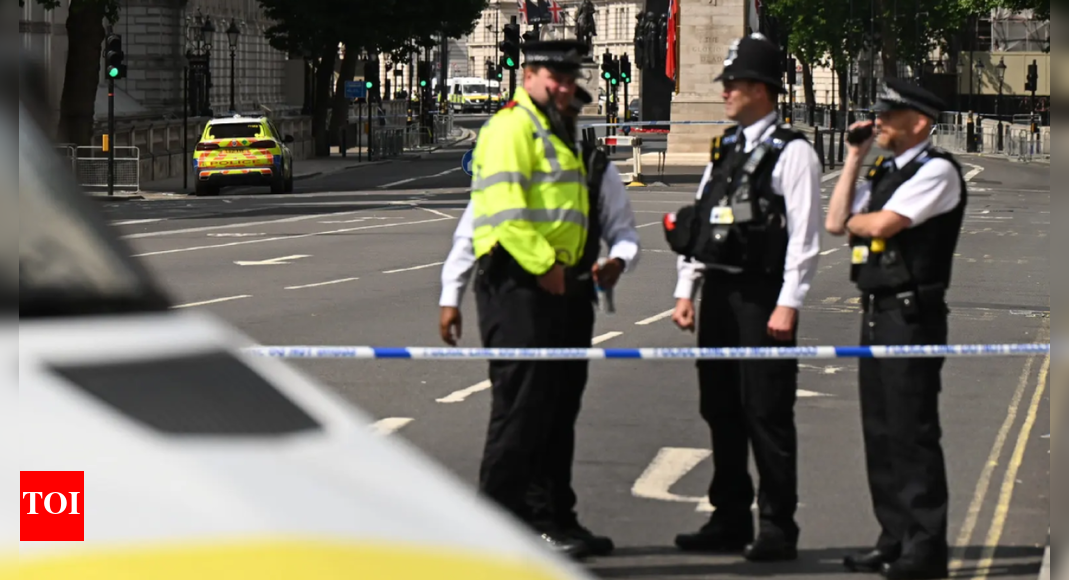 Stabbing in London: Dog walker dead, father and son injured; Afghan asylum seeker held Stabbing in London: Dog walker dead, father and son injured; Afghan asylum seeker held