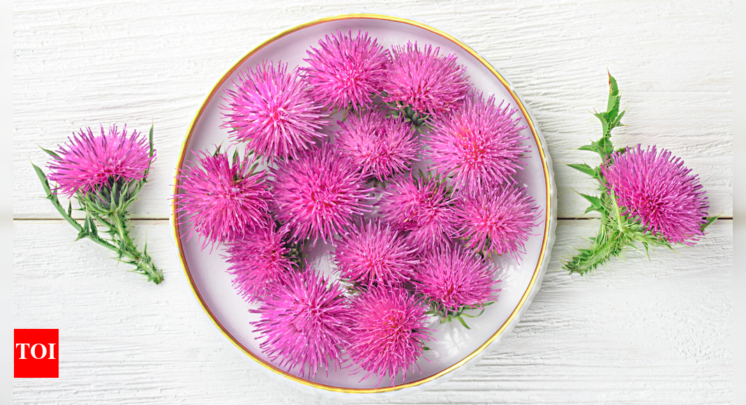 Milk thistle supports liver health in fatty liver disease, backed by scientific evidence