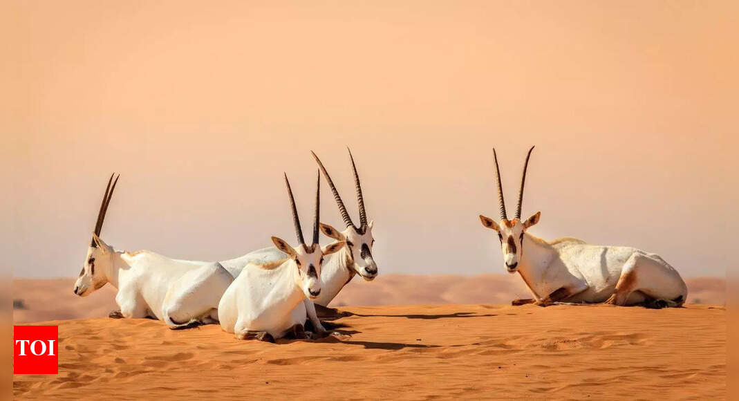 Extinction rate among plant and animal species has surprisingly slowed down