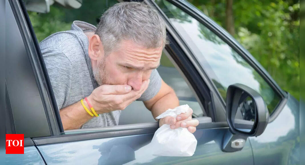 Foods to avoid before travelling: Simple diet tips to prevent motion sickness