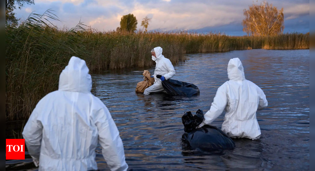 उड़ान में बीमारी: यूरोप, अमेरिका में फैला बर्ड फ्लू | उड़ान में बीमारी: यूरोप, अमेरिका में फैला बर्ड फ्लू |
