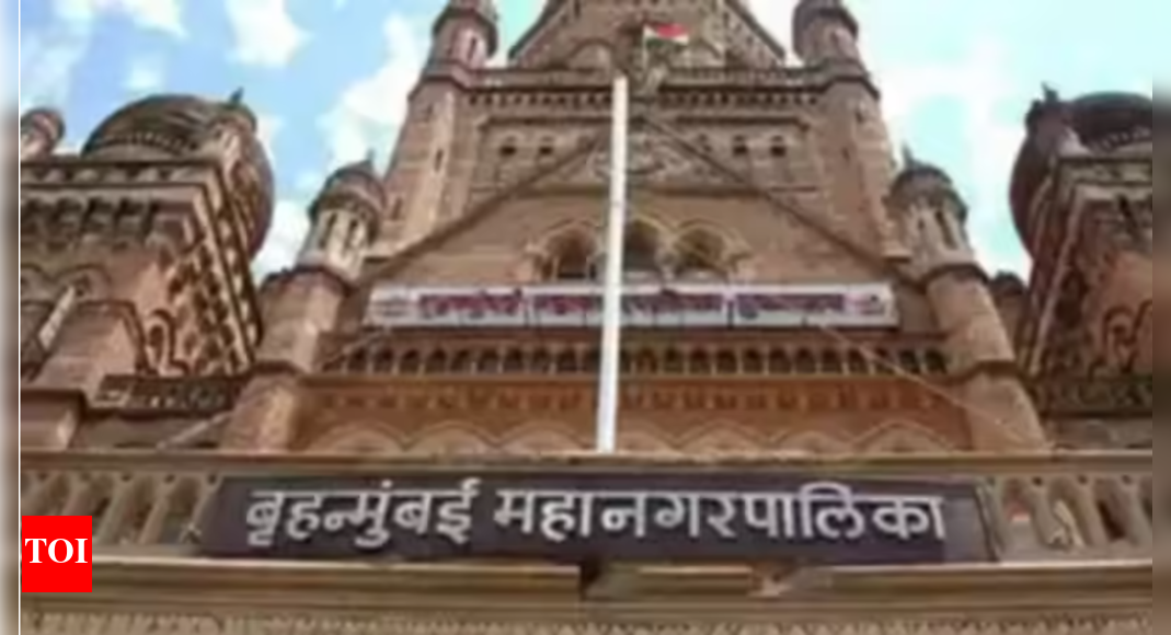 BMC identifies 4 spots for pigeon feeding in Mumbai