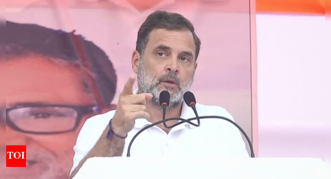 'PM will dance if ...': Rahul targets Modi in Bihar rally; launches campaign