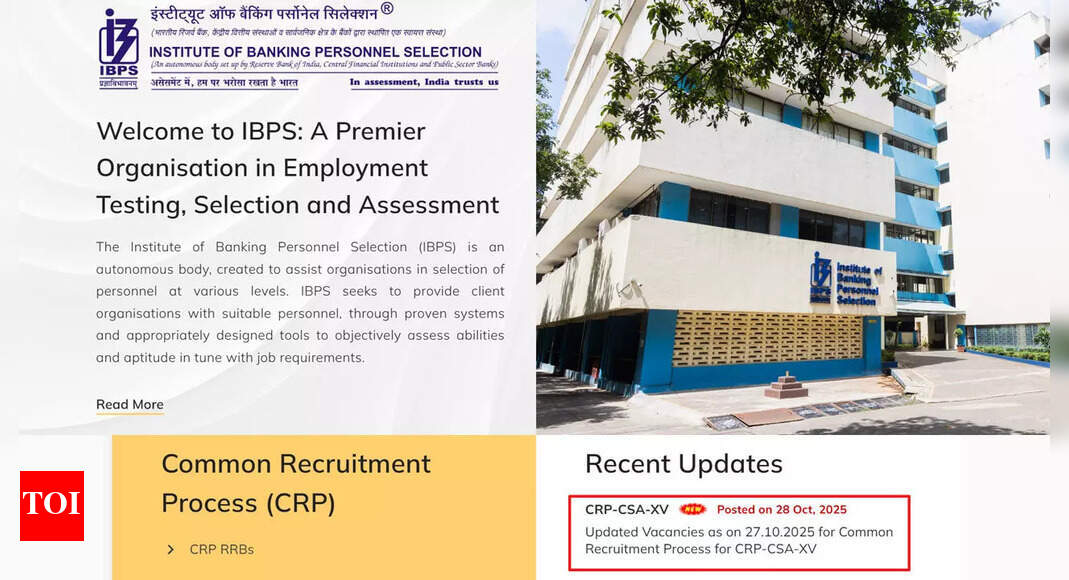 आईबीपीएस क्लर्क 2025 रिक्तियों को संशोधित कर 13,533 किया गया; प्रीलिम्स के नतीजे जल्द ही ibps.in पर आने की उम्मीद है आईबीपीएस क्लर्क 2025 रिक्तियों को संशोधित कर 13,533 किया गया; प्रीलिम्स के नतीजे जल्द ही ibps.in पर आने की उम्मीद है