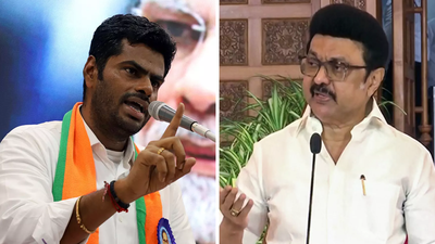 'कुचल दिए गए सपने': अन्नामलाई ने डीएमके पर मेगा कैश-फॉर-नौकरी रैकेट का आरोप लगाया; 888 करोड़ रुपये की धोखाधड़ी के ईडी निष्कर्षों का हवाला दिया