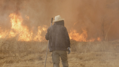 वेइगा दास मीज़ में जंगल की आग (छवि क्रेडिट: एपी) जलवायु परिवर्तन हमें कैसे बीमार बना रहा है?