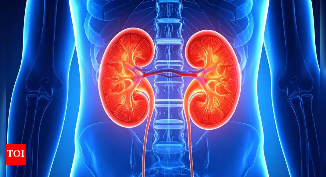Renal failure vs kidney failure: Are they the same? Know the meaning, symptoms, and causes