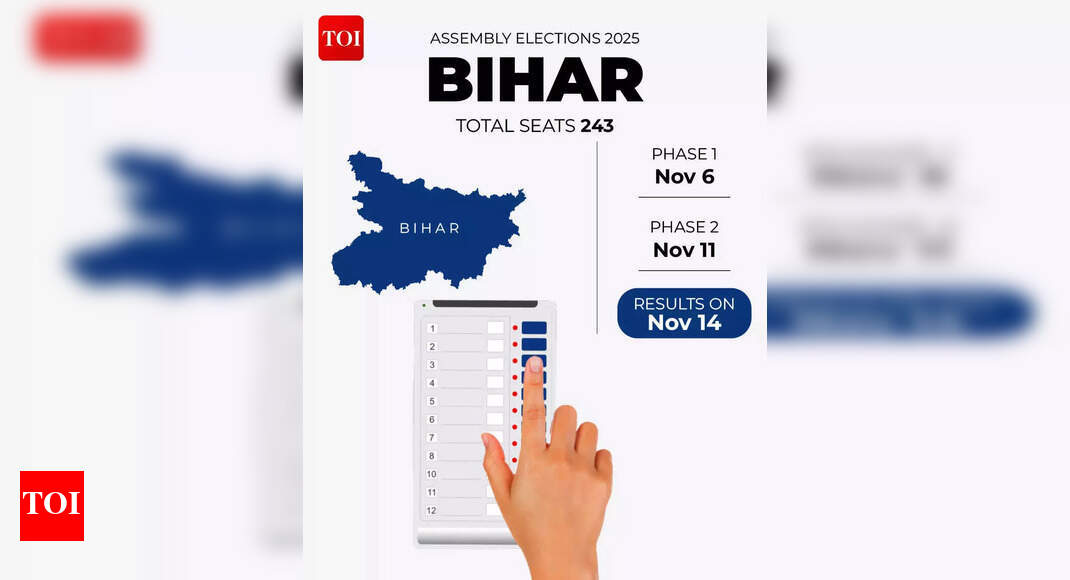 Bihar assembly elections 2025: 2-day home voting service for elderly, disabled starts in Patna