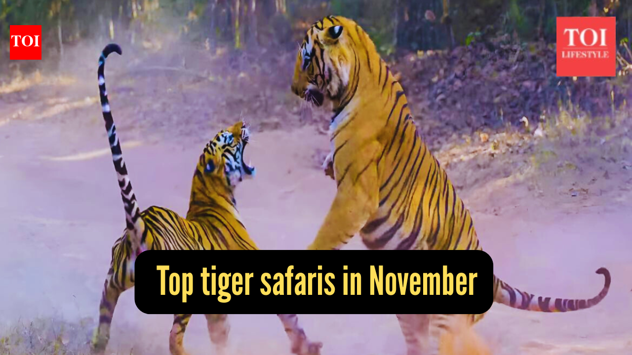 6 tiger reserves perfect for a November getaway