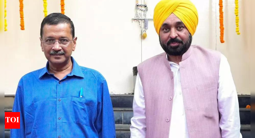 Punjab launches faceless services related to driving licences, vehicle-registration certificates