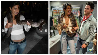 Priyanka Chopra shares her Then and Now pics with snakes; asks fans 'Notice a theme here…'