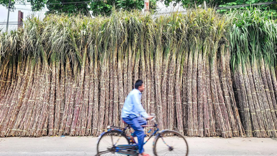  ISMA warns of financial strain, delay in payment to sugarcane farmers
