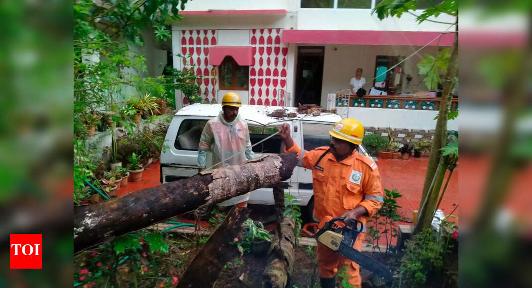 Incessant rain throws life out of gear, damages more paddy crops