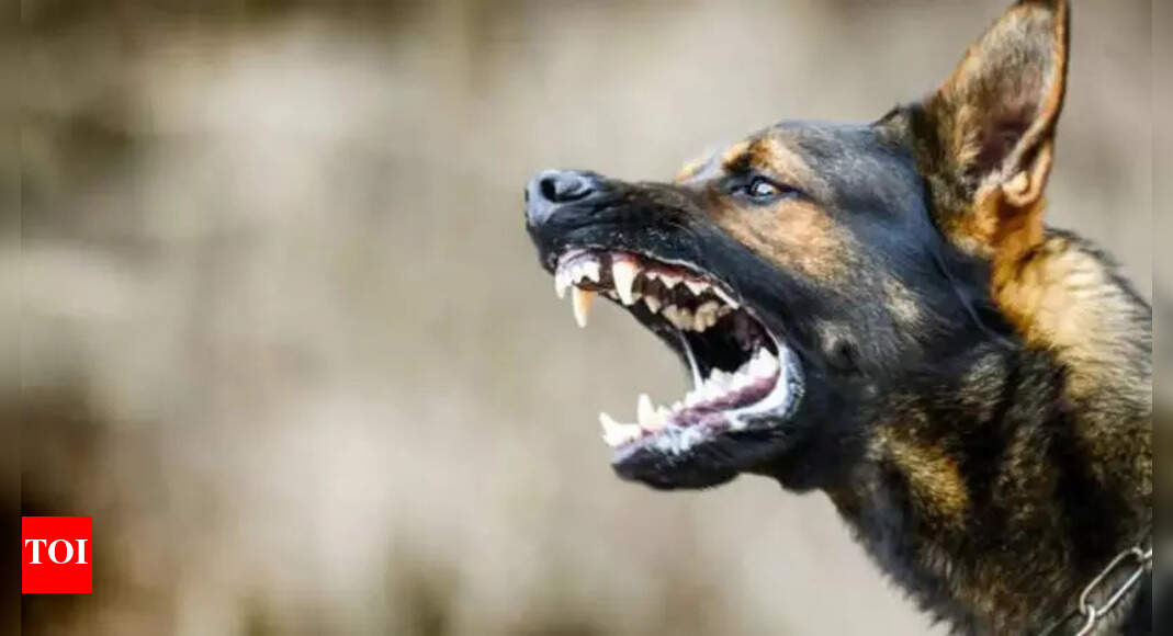 Abtak.com - Other - News Image