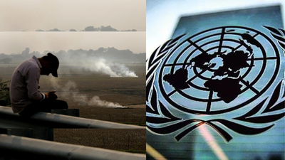 Climate financing 12-14 times less than what's needed: United Nations