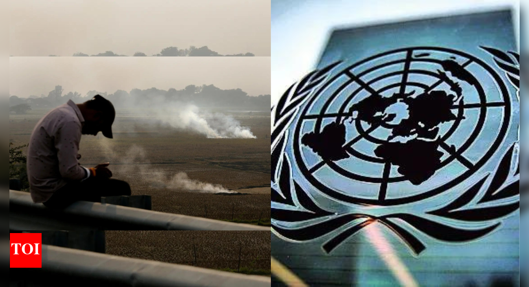 Climate financing 12-14 times less than what's needed: United Nations