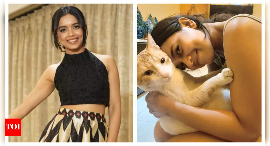 Exclusive - Divya Prem fame Megha Ray opens up about facing harassment by neighbours; says, 'All I did was care for innocent animals'