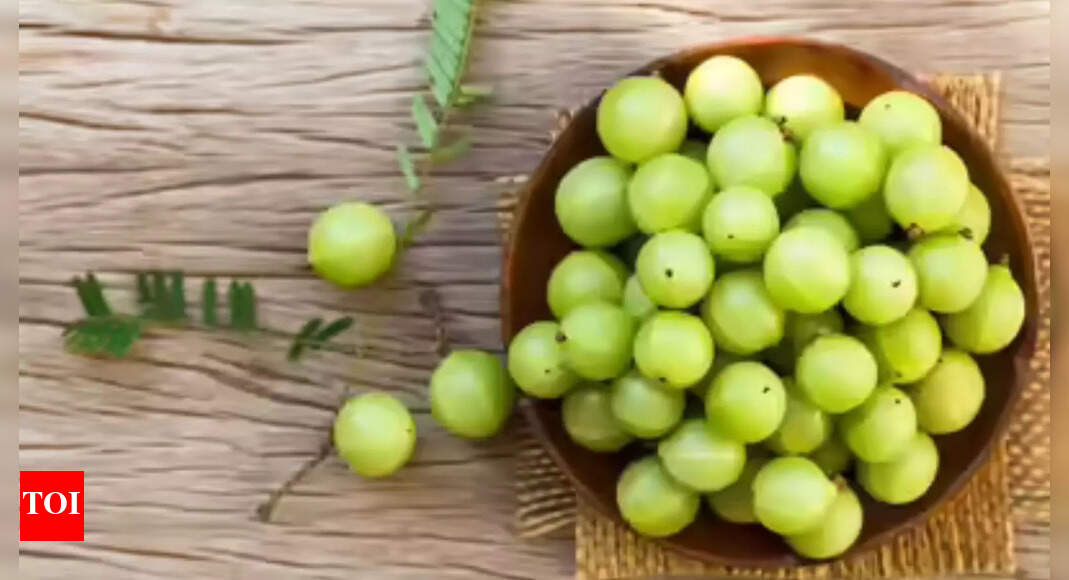 Amla Navami 2025: Date, Time, Puja Rituals and Significance