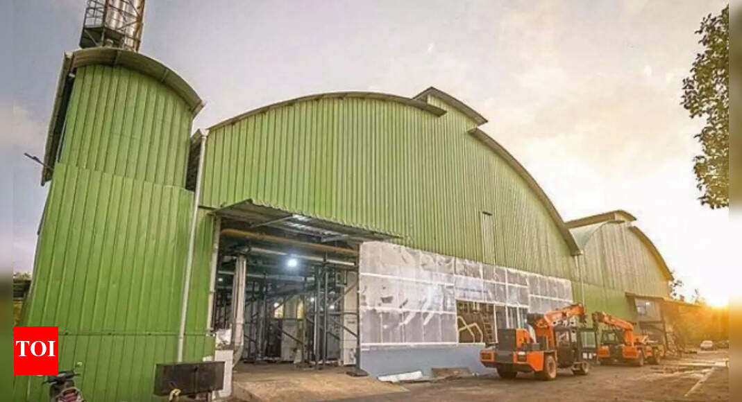 Udupi innovation: Tech startup turns cashew waste into biofuel; biochar