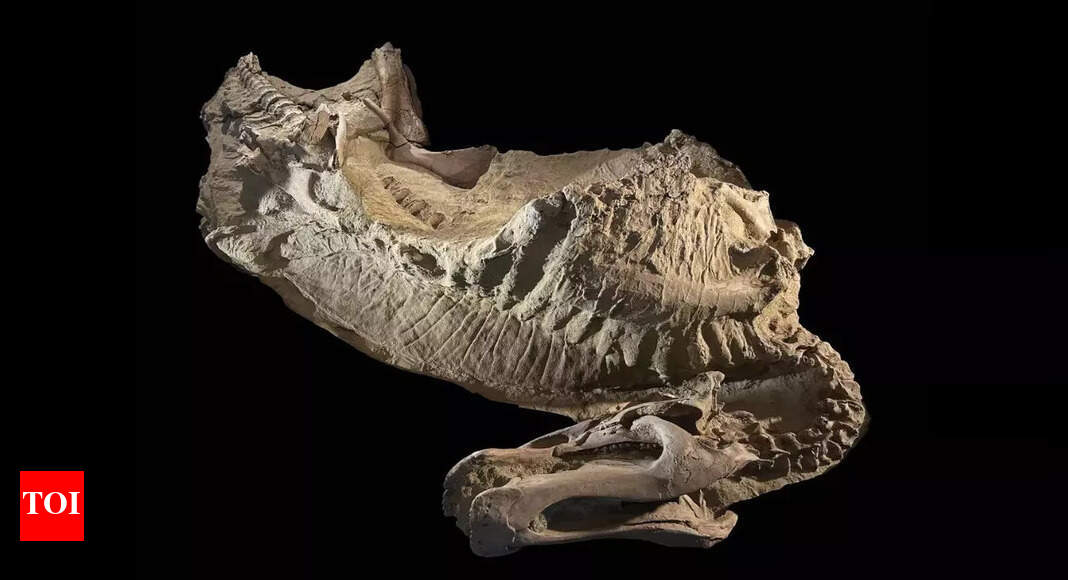 First ‘mummified’ hooved dinosaur in Wyoming Badlands discovered, redefining prehistoric evolution