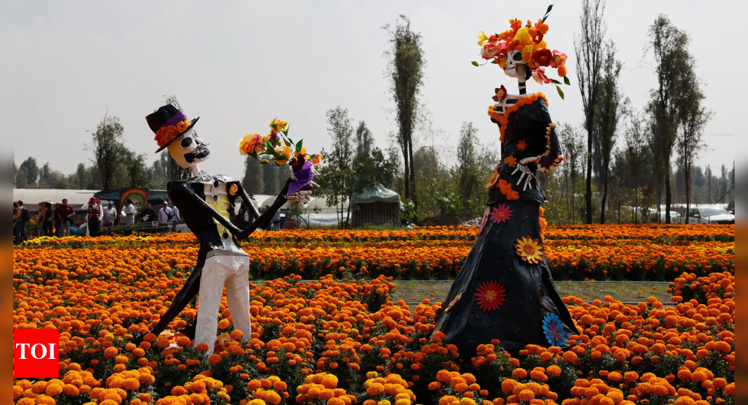 Mexico’s orange bloom of the Day of the Dead faces a growing climate threat