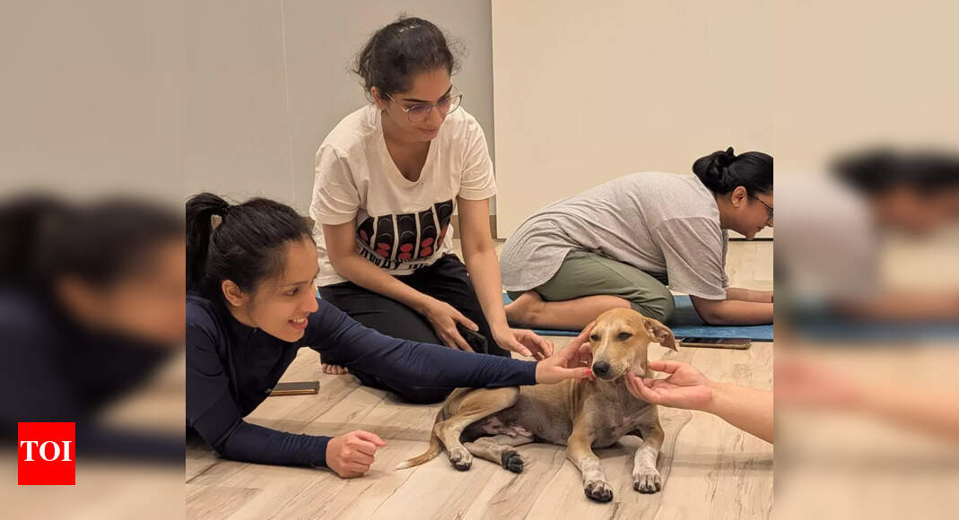 Unwind with Yoga and Puppies: A Unique Wellness Event for Pune Residents