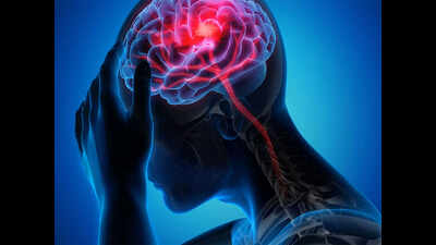 Udupi District Hospital marks World Stroke Day; doctors urge youth to lead awareness drive