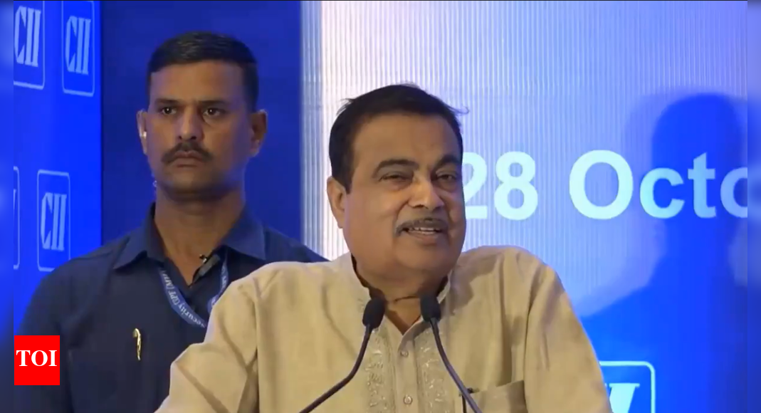 ‘Main kyu gaali khaun’: Nitin Gadkari orders QR codes on highway sites so public knows who’s responsible