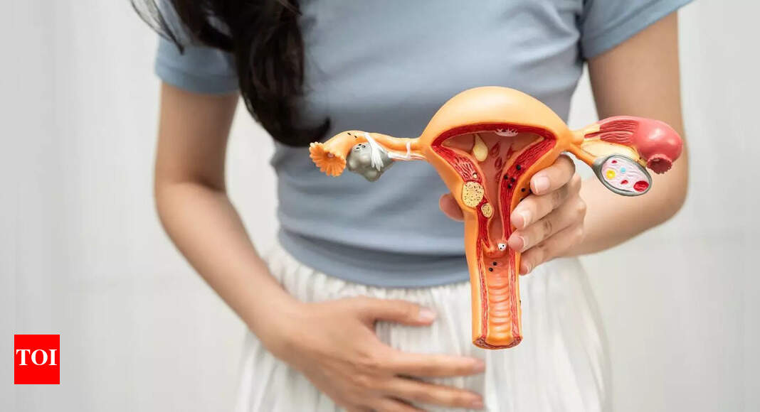 महिलाओं में एंडोमेट्रियल (गर्भाशय) कैंसर के लक्षण: रक्तस्राव, दर्द और अन्य शुरुआती लक्षण | महिलाओं में एंडोमेट्रियल (गर्भाशय) कैंसर के लक्षण: रक्तस्राव, दर्द और अन्य शुरुआती लक्षण |