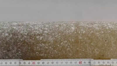 6 मिलियन वर्ष पुरानी अंटार्कटिक बर्फ से पता चलता है कि पृथ्वी एक समय कैसे गर्म होती थी; जानिए यह कल के बारे में क्या चेतावनी देता है