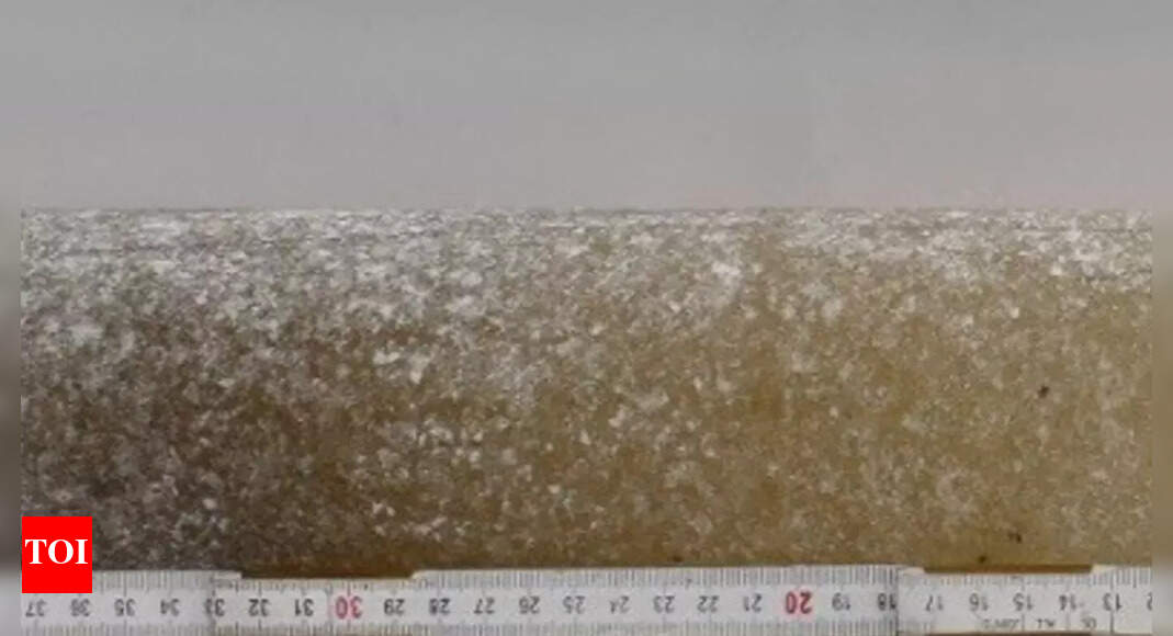 6 मिलियन वर्ष पुरानी अंटार्कटिक बर्फ से पता चलता है कि पृथ्वी एक समय कैसे गर्म होती थी; जानिए यह आने वाले कल के बारे में क्या चेतावनी देता है |